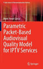 Parametric Packet-based Audiovisual Quality Model for IPTV services (T-Labs