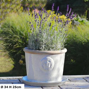 Pflanzgefäß Blumentopf -kübel Arles grauweiß glasiert mit Untersetzer frostfest - Bild 1 von 3