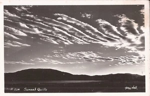 REAL PHOTO - Ross Hall: "Sunset Quills" - Picture 1 of 2