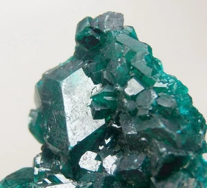 DIOPTASE beautiful crystals --- Dem. Rep. CONGO - Kolwezi - Kapata Mine /pl647 - Picture 1 of 12