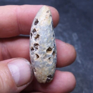 51mm Equicalastrobus sp. Pine Cone Seed Chalcedony Fossil Plant Eocene 33 - Picture 1 of 9