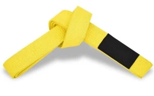 Martial Sports Premium Brazilian Jiu Jitsu Belts Solid & Striped - Free Shipping - Picture 1 of 17