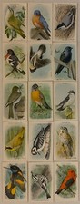 Useful Birds of America 9th Series Card Set J-9 Type 5-1  15 Cards Church & Dwig