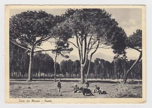 TO LU 04 Forte dei Marmi Pineta  viaggiata 1963 - Picture 1 of 1