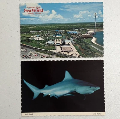 Postal Sea World Orlando, Florida Bull Shark Vista Aérea, Juego de 2 (Sin Publicar) Foto 1 de 2