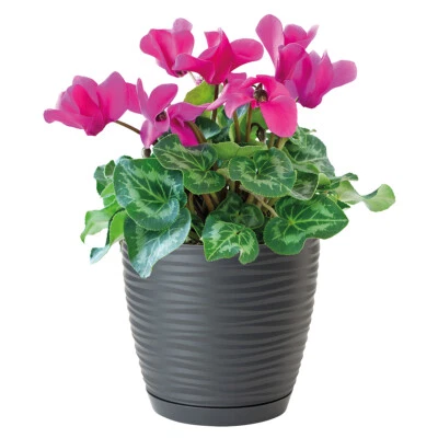 Übertopf Wellen Slim Rund Blumentopf mit Untersetzer 3D Effekt 7 Größen 4 Farben - Bild 1 von 3