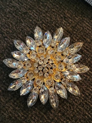 Gran Absolutamente Impresionante Floral Flor Broche Solapa Joyería CA EE. UU. Lote E210-1 Foto 1 de 4