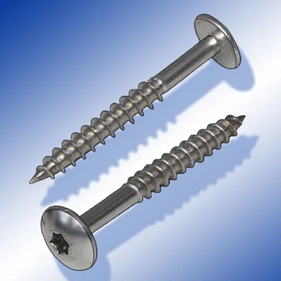 100 con la Tapa de Hpl A2 Fassadenschrauben 4,8 X 50MM V2A Acero Inox. - Imagen 1 de 3