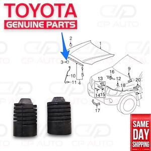 05 - 15 TOYOTA TACOMA FRONT HOOD CUSHION BUMPER RUBBER SUPPORT OEM QTY 2 NEW