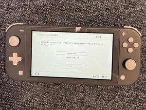 Nintendo Switch Lite Gray Handheld System- + Arrow Pushed In, Still Works - Picture 1 of 4