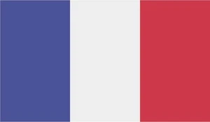 SET 6 ADESIVI BANDIERA FRANCIA FRANCESE FRANCE FLAG STICKERS AUTO VINILE VINYL - Imagen 1 de 1