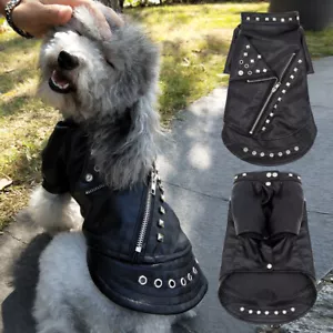Giacca Impermeabile Cane Gatto Pelle Rivet Cool Borchie Vestiti Invernali Cappotto Nero - Foto 1 di 15
