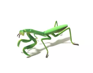 Takara Japan exklusive betende Mantis Insektenfigur - Bild 1 von 4
