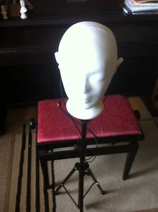 Kunstkopf binaurales Mikrofon Stereo Dummy Head binaural microphone Psychologie - Bild 1 von 12