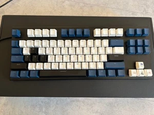 Topre Realforce GX1 Wired Gaming Keyboard Blue White Custom Keycaps English Layo - Picture 1 of 2