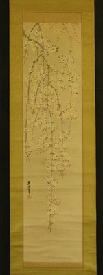 ARTE DE ROLLO COLGANTE JAPONÉS Pintura "Flores de cerezo" Asiático Antiguo #E8844 Foto 1 de 4