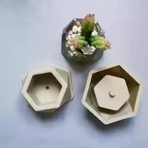 Silicone Concrete Succulent Pot Planter DIY Mold Set: Hexagon Shape - Pack of 2 - Picture 1 of 7
