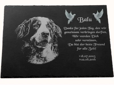 Tier Grabstein Gedenkstein Hund Katze Pferd Fotogravur auf Schiefer 40x30 cm  - Bild 1 von 4