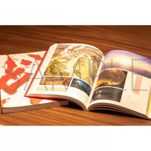 dororo OFFICIAL COMPLETE MAPPA - Picture 1 of 1