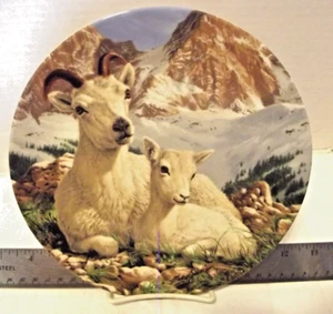 LA BELLEZA DE LA VIDA SILVESTRE POLAR "DALL SHEEP" 8 1/4" Placa, 1991 Mike Jackson - Imagen 1 de 3