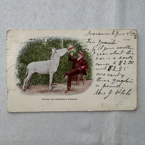 Alte AK Mann und Pferd trinken Bier Poststempel 1905 1906 - Bild 1 von 8