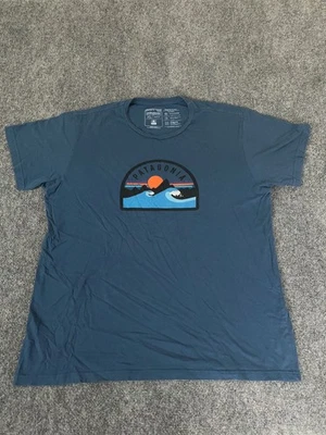 Patagonia Womens Blue Tshirt Slim fit Organic Cotton Short Sleeve Size XL - Изображение 1 из 4