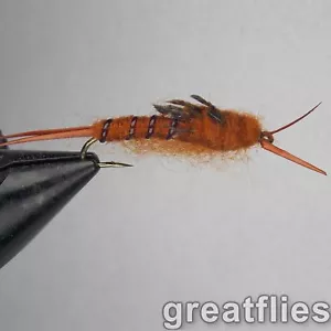 1 docena (12) - Ninfa Kaufmann's Stonefly - MARRÓN - Imagen 1 de 1