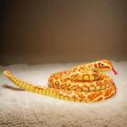 Stuffed Snake Animal for Birthday Gift Home Decoration Jungle Themed Decor