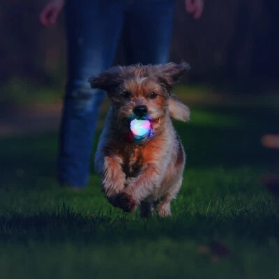 Ultra LED Dog Ball Toy Light Up Pet Flashing Toys Throw Ball Bounce Interactive - Image 1 of 4