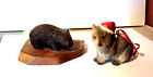 NEW Collectable Australian Wombat Christmas Ornament + Wombat Mounted On Wood
