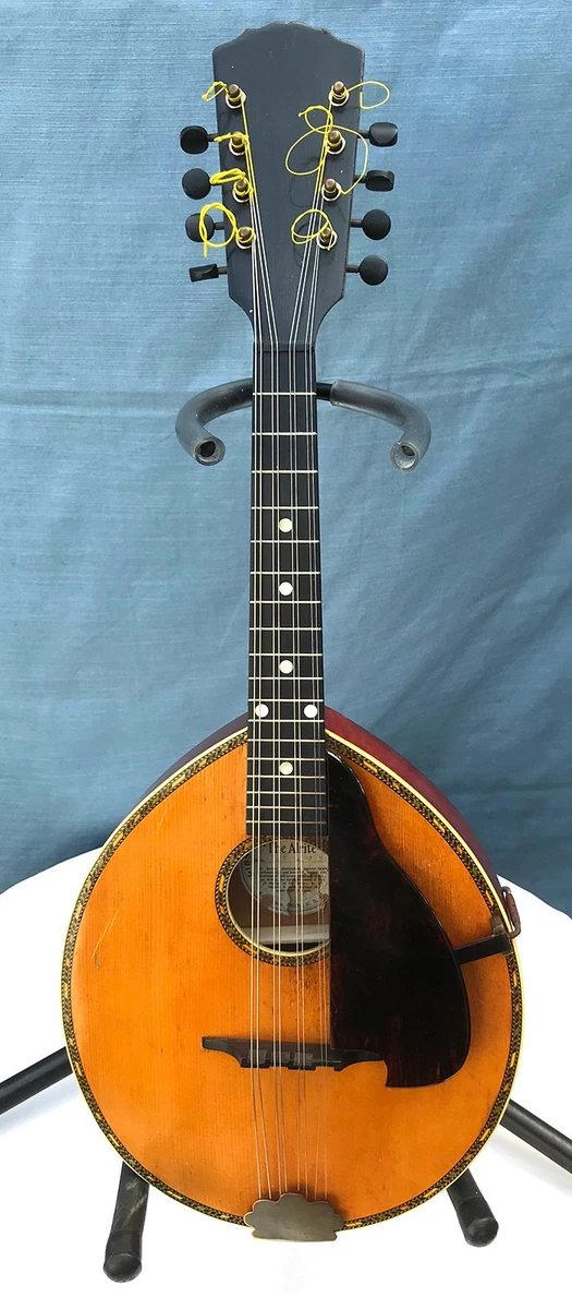 【値下げ！】Gibson ビンテージ マンドリン ペグ 1900〜1910年代 値下げ！】Gibson ビンテージ マンドリン ペグ 1900〜1910年代 - メルカリ