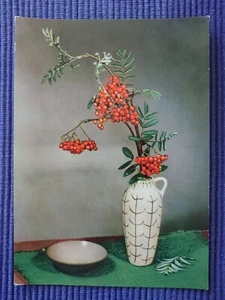 Old Postcard Ak Art Map Sea Buckthorn Ceramic Vase Bowl 50er - Picture 1 of 2