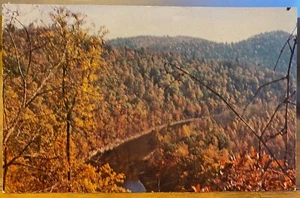 Vintage WEST VIRGINIA Postcard CHEAT RIVER Fall Scene St George US 72 WV Chrome - Picture 1 of 2