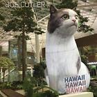 Orkest De Ereprijs; Wim Boerma - Joe Cutler Hawaii Hawaii Hawa [Cd]