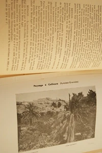 VEGETAUX EXOTIQUES MIDI DE LA FRANCE-GIUGLARIS 1940 PLANCHES BOTANIQUE - Imagen 1 de 1
