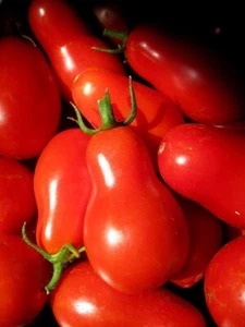 Tomato (Red Pear) 160+ Seeds π Great In Salads. Healthy. Instructions Inc Xx - Picture 1 of 2
