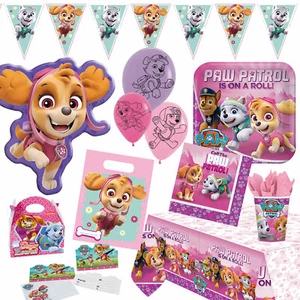 PAW PATROL SKYE - Fiesta Decoración Cumpleaños Niños Cumpleaños Rosa Niña - Imagen 1 de 18