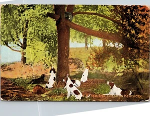 At Bay After the Chase Kentucky Postcard hound dogs - Imagen 1 de 2