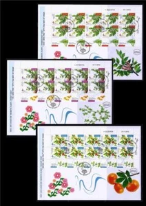 ISRAEL STAMPS 2017 AROMATIC PLANTS 3 SHEET FDC FRANKINCENSE, MYRRH, BALSAM FLORA - Picture 1 of 1