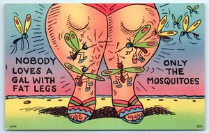 POSTCARD Humor Nobody Loves a Gal with Fat Legs Only the Mosquitoes - Picture 1 of 2