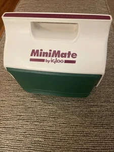 Enfriador Mini Mate Vintage Años 90 por Igloo Hecho en EE. UU. - Verde azulado y púrpura. - Imagen 1 de 8