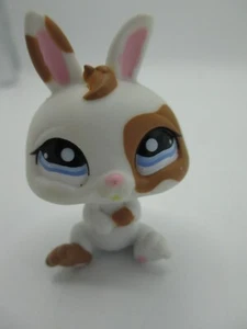 Hasbro Littlest Pet Shop #1359 Zwerghase Kaninchen braun weiß blaue Augen 2007 - Bild 1 von 7