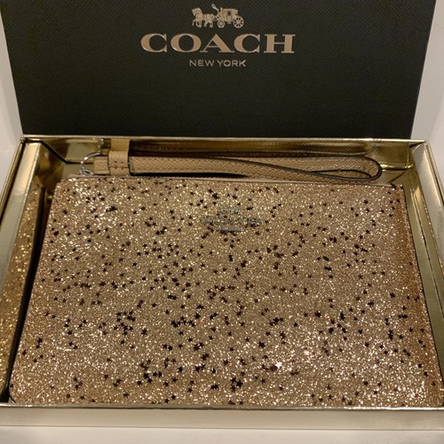 Coach G Star Glitter Polso con cerniera piccolo 7""x4"" F38641 con scatola