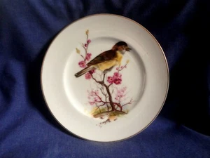 Fenton China. Decorative Palte. (PLATE A) - Picture 1 of 2