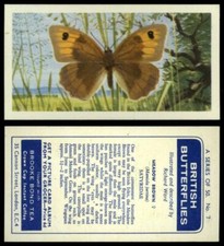 Meadow Brown #7 British Butterflies 1963 Brooke Bond Tea Card