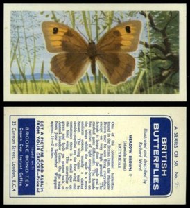 Meadow Brown #7 British Butterflies 1963 Brooke Bond Tea Card