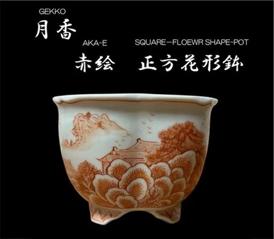Vaso de bonsai japonês SOMETSUKE AKA-E formato de flor quadrado tamanho mini W9,6cm GEKKO - Imagem 1 de 4