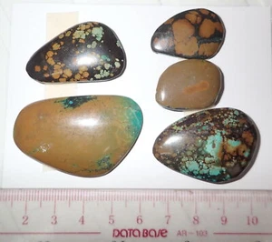 Türkis Stein flach Freiform Cabochon 172,5 Karat 5 Stück 34,5 Gramm Lot B - Bild 1 von 2