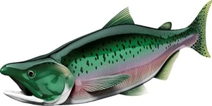 Salmon Beautiful Vinyl Sticker Fish Decals for Boat Car Vehicle Truck Fishing - Picture 1 of 13