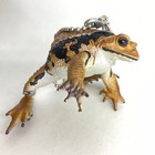 Nature Techni Colour Figure  Ball Chain Japanese Common Toad import Japan